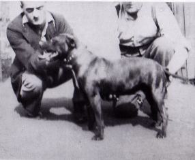 J. Dunn & J. Mallen z psem Jim the Dandy, ktry zosta uzyty podczas pisania wzorca rasy